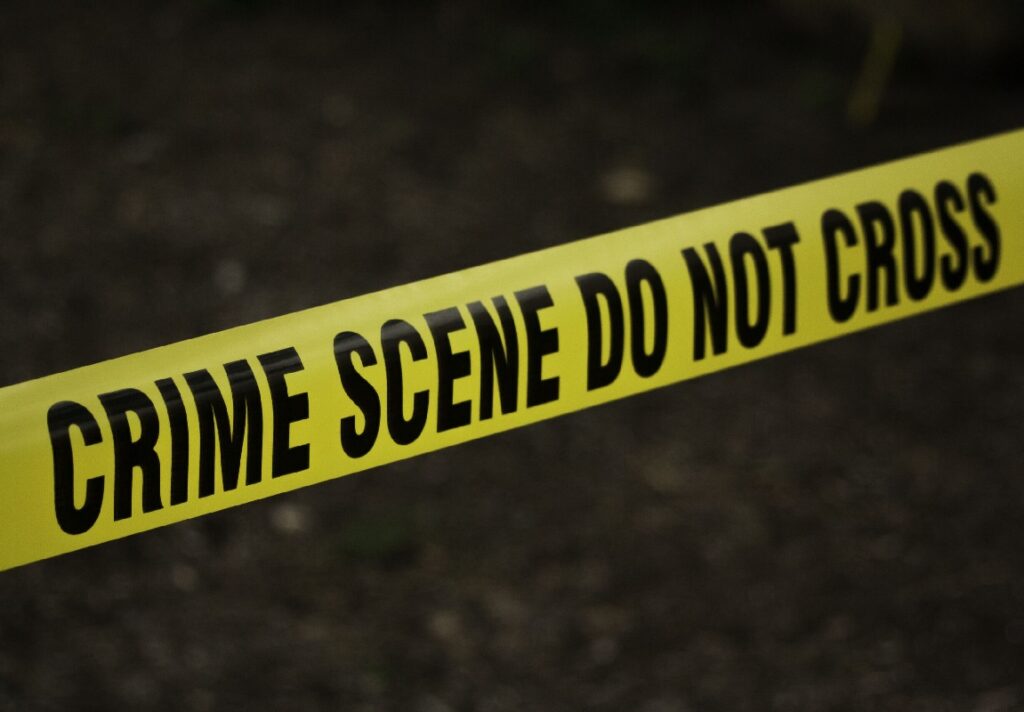 Delhi Murder