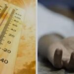 गर्मी का कहर : चुनाव ड्यूटी पर तैनात 5 होमगार्ड की मौत, 16 अस्पताल में भर्ती