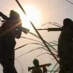 Naxal