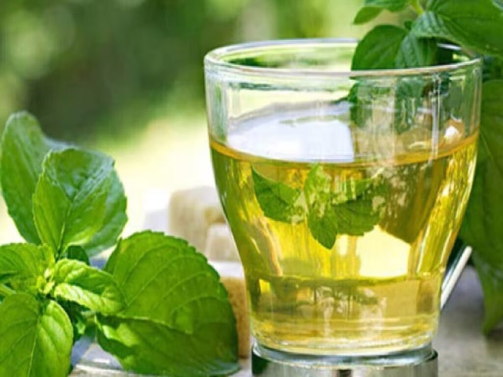Pudina Tea