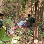 नक्सलियों