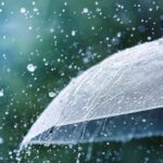 Inlive247 Web, Inlive247 digital, inlive 247, Jharkhand news, Jharkhand weather,