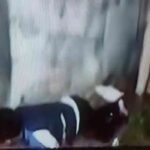 युवक की गोली मारकर हत्या