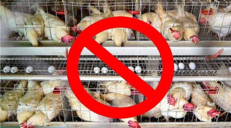 गांधी जयंती