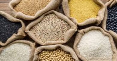 राशन कार्ड धारकों के लिए बड़ा बदलाव! जनवरी 2026 से बदल जाएगा गेहूं-चावल का हिसाब