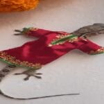 viral video lizard wearing handmade dress for 20 rupees