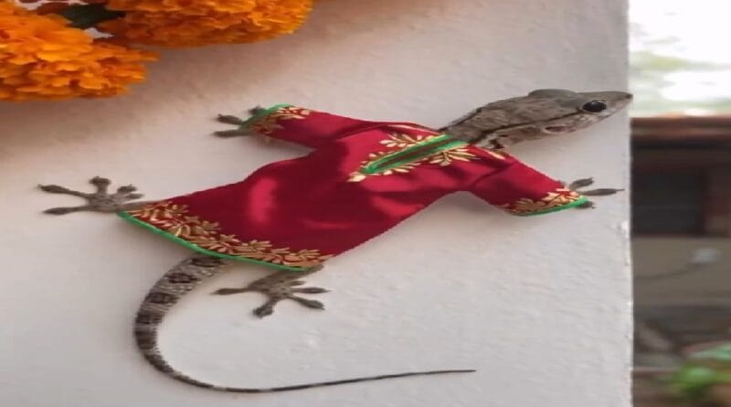 ₹20 में छिपकली का ड्रेस! सोशल मीडिया पर वायरल हुआ ये अजीबोगरीब वीडियो, लोग बोले– “ये क्या दिखा दिया, अब मैं चींटी के लिए बनाऊंगा” देखें Viral Video..