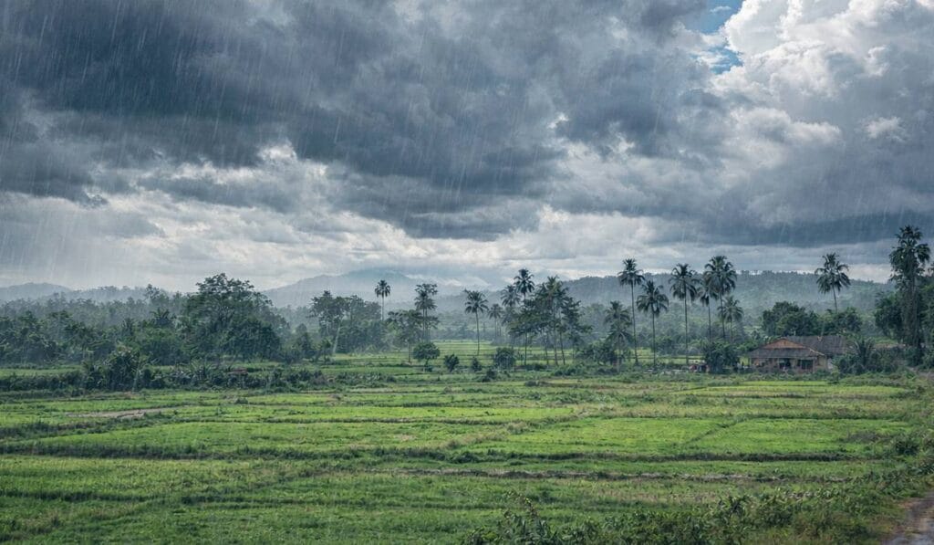 Jharkhand Weather News