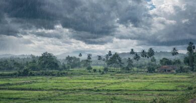 Jharkhand Weather News