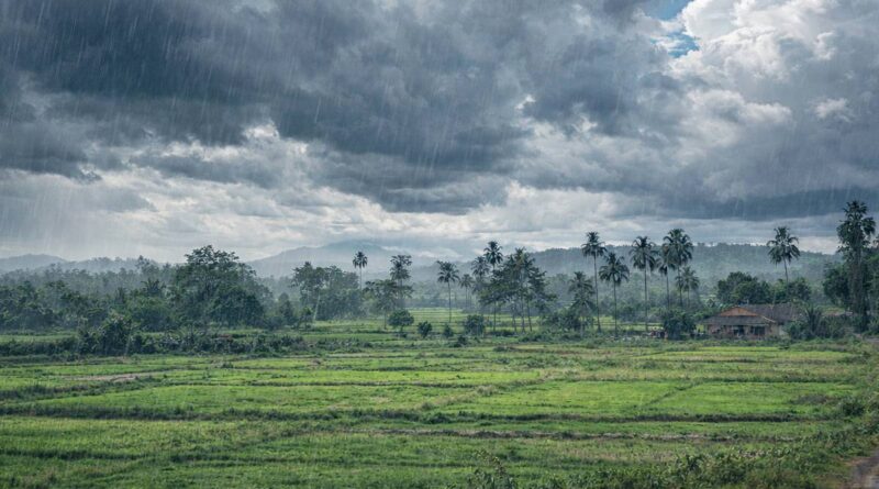 झारखंड में बदलेगा मौसम का मिजाज, 3 फरवरी को कई जिलों में हो सकती है हल्की बारिश