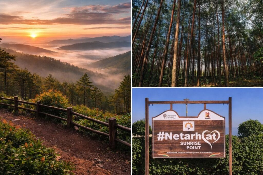 Netarhat Best Winter Destination in Jharkhand: सर्दियों में घूमने की कर रहे हैं प्लानिंग? झारखंड की ये जगह जीत लेगी आपका दिल