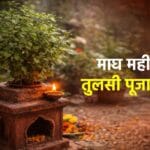Tulsi Puja Rules