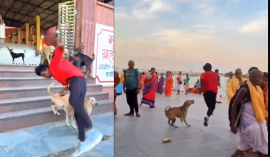 Stunt Viral Video