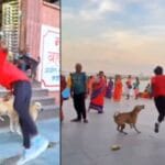 Stunt Viral Video