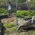 वायरल वीडियो