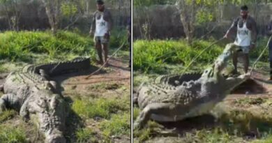 वायरल वीडियो