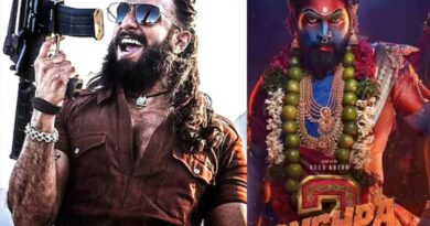 Dhurandhar 2 vs Pushpa 2